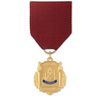 No. 10-790 Yearbook Medal