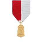 No. 100 General Sports Medal