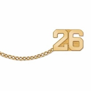 No. 101 General Extra Curricular Year Guard Pin