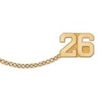 No. 101 General Student Government Year Guard Pin