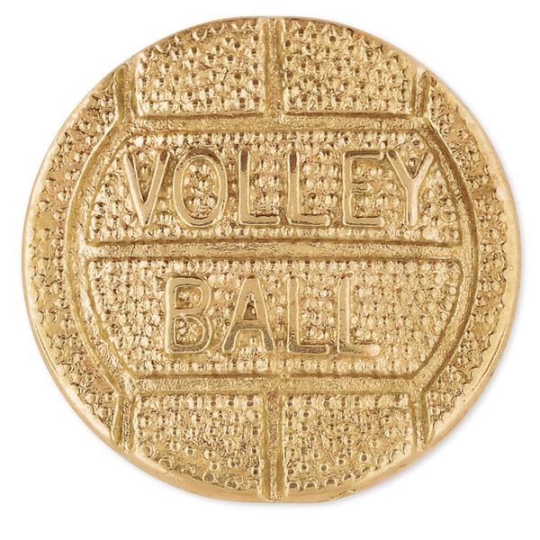 No. 495 Volleyball Pin