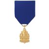 No. 80 Social Science & Social Studies Medal