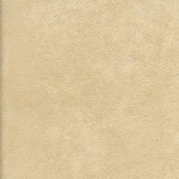 Arizona/Cream Fabric by the Yard 0523