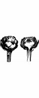 artichoke