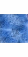 baby blue (Curly)