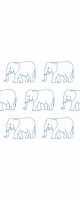 baby elephant