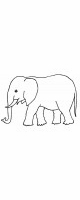 baby elephant