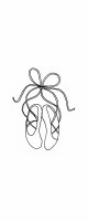 ballet shoes