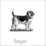 begal