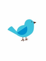 birdie