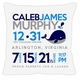 birth announcement new baby whale pillow