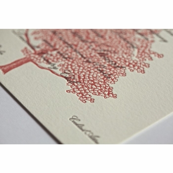 Blair and Stu Invitation Card