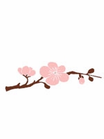 blossom