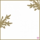 Blue Boughs Invitation Cards