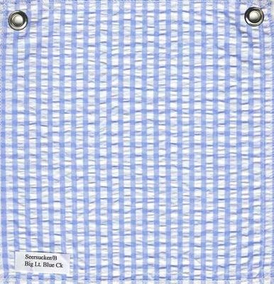 blue & white check