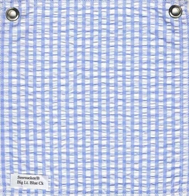 blue & white check