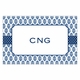 boatman geller beti navy placemat