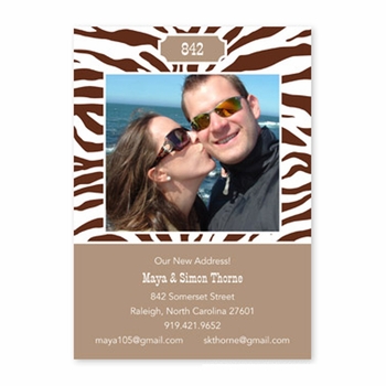 boatman geller zebra chocolate flat photocard