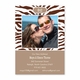 boatman geller zebra chocolate flat photocard
