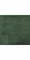 bottle green (Minki)
