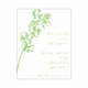 Bridal Bloom Orchid Bridal Showers