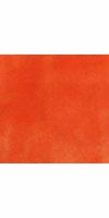 bright orange (Minki)