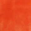 bright orange (Minki)