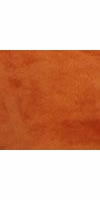 burnt orange (Minki)