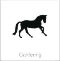soundview millworks monograms equestrian cantering