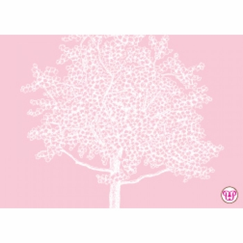 Cherry Blossom Enclosure Card