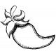 chile pepper