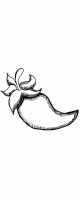 chile pepper