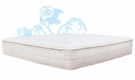 chorus series mattresses