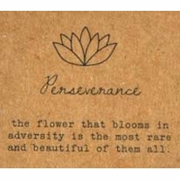 classic charm bracelets lotus