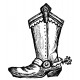 cowboy boot