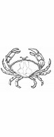 crab