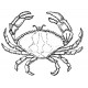 crab