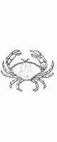crab