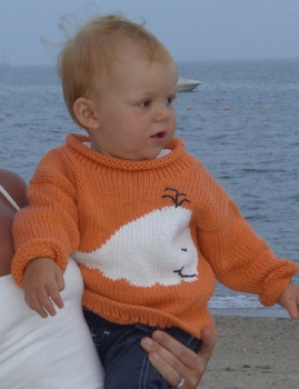 custom knit whale pullover