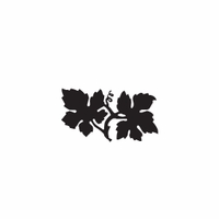 d10 - grape leaves