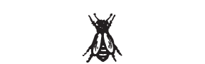 d21 - fly