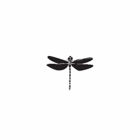d24 - dragonfly