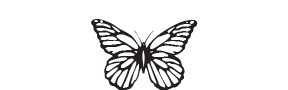 d27 - butterfly