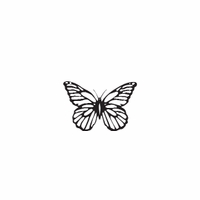 d27 - butterfly