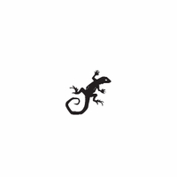 d29 - lizard