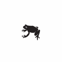 d30 - frog