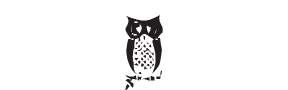 d31 - owl