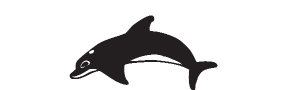 d32 - orca
