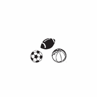 d36 - sports balls