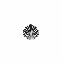 d37 - scallop shell